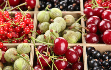 Different summer berries in wooden crate, close up