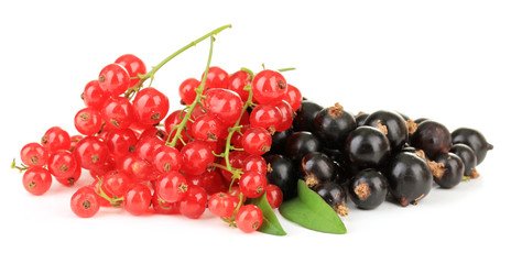 Red and black currant isolated on white