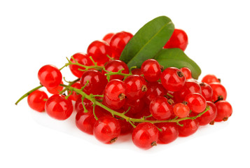 Red currant isolated on white