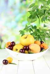Bright summer fruits in plate