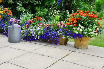 Patio flower display