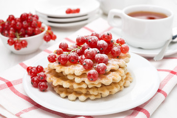 Belgian waffles with red currant, sprinkled with powdered sugar
