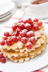 Belgian waffles with red currant, sprinkled with powdered sugar