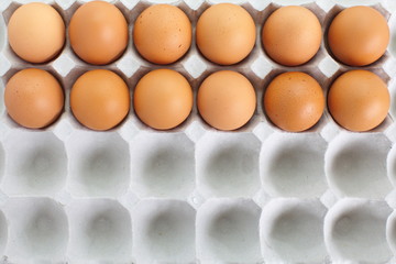 fresh eggs in pater tray