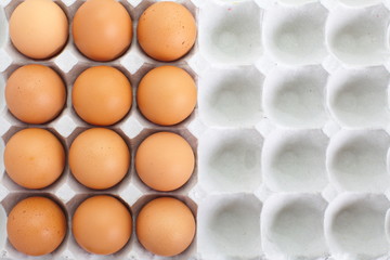 fresh eggs in pater tray
