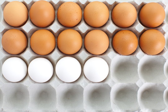 fresh eggs in pater tray