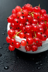 bowl of red currant with drops of water on black background