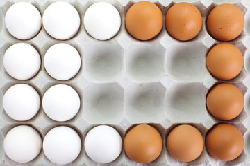 fresh eggs in pater tray