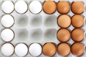 fresh eggs in pater tray