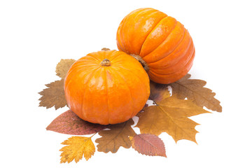 two orange pumpkin on autumn leaves isolated