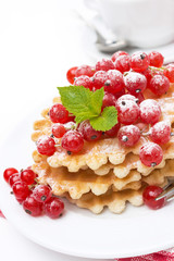 waffles with red currant, sprinkled powdered sugar for breakfast