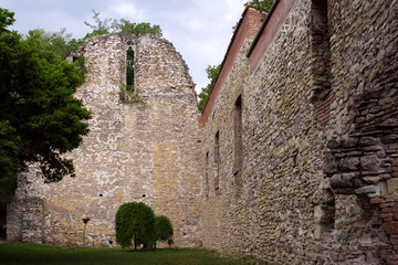 Fototapeta premium 13th century ruin on Margaret Island, Budapest, Hungary