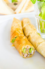 Thai spring roll