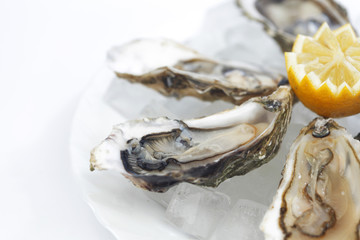 Oysters with lemon