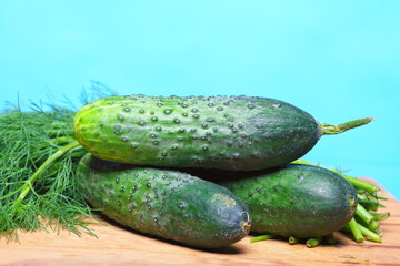 bunch fresh dill and cucumbers on wooden table
