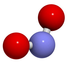 Nitrite (NO2-) anion.