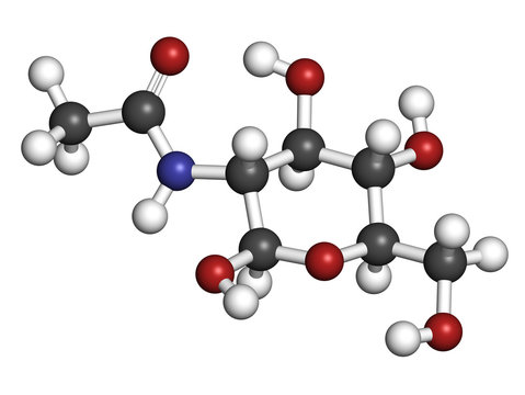 N-Acetylglucosamine (NAG) food supplement molecule.