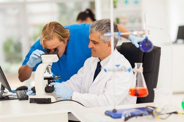 Fototapeta premium medical researchers working with microscope