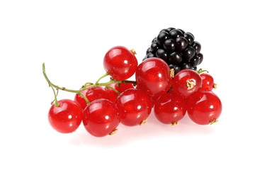 Berries