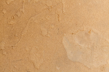 Brown carton cardboard paper