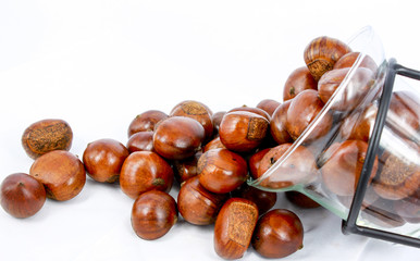 Obraz premium Hazelnut