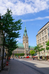 Fototapeta na wymiar The city hall of Hamburg