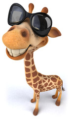 Fun giraffe