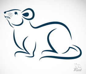 Vector image of an rat