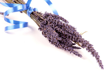 Lavendel