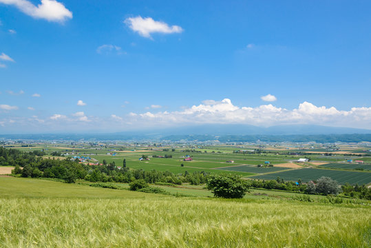 中富良野町の田園風景