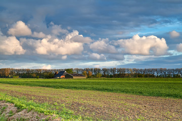 Fototapeta na wymiar field, farmhouse and blue sky