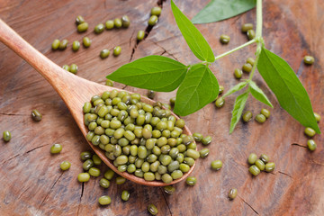 Mung beans over wooden spoon