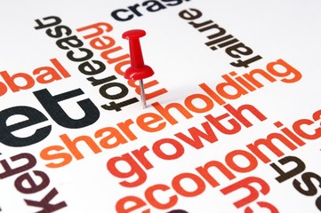 Shareholding word cloud