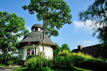 House in forest