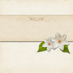 Vintage background design with flowers