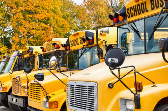 Row of yellow school buses against autumn trees