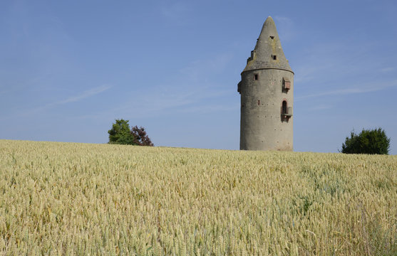 Wartturm bei Schaafheim