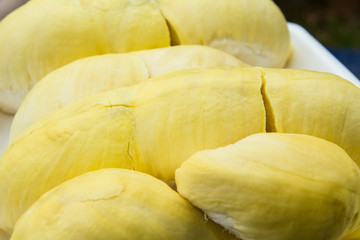 Durian  Thai Monthong Durian  thai fruit
