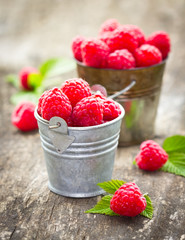 Fresh raspberry in the small bucket