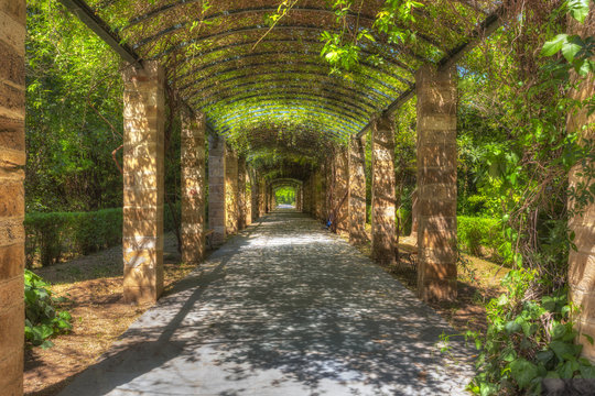 The National Garden of Athens in Greece