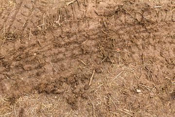 The trace of a tyre in the soil