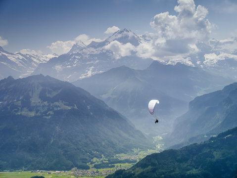 paraglider
