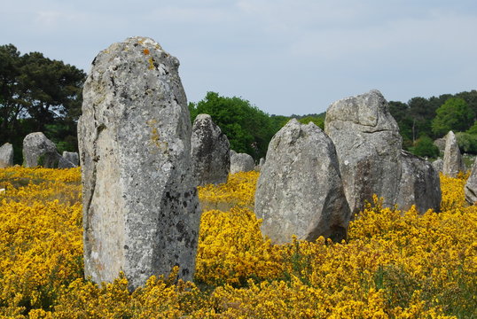 Menhirs &agrave; Carnac, Bretagne