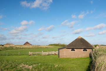 Obraz premium Typical Sheep barn