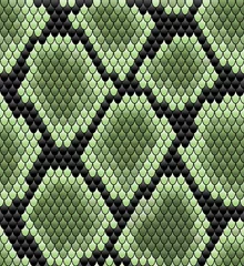 Acrylic prints Green Green seamless snake skin pattern