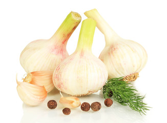 Garlic isolated on white