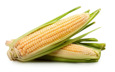 fresh corn