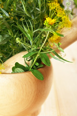 Fresh aromatic herbs