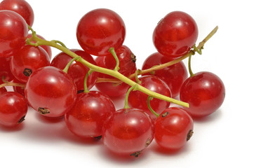 Rote Johannisbeeren