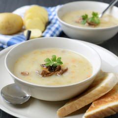 Kartoffel-Pilz-Creme-Suppe